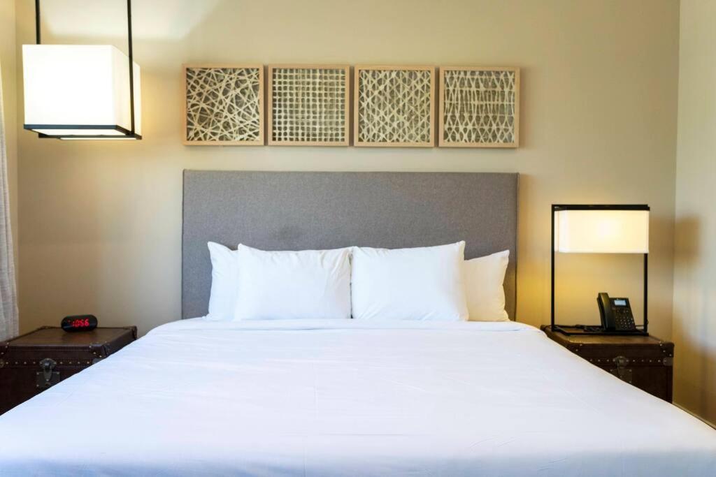 Modern And Luxury 4 Suites Close To Disney 7544 Orlando Zewnętrze zdjęcie